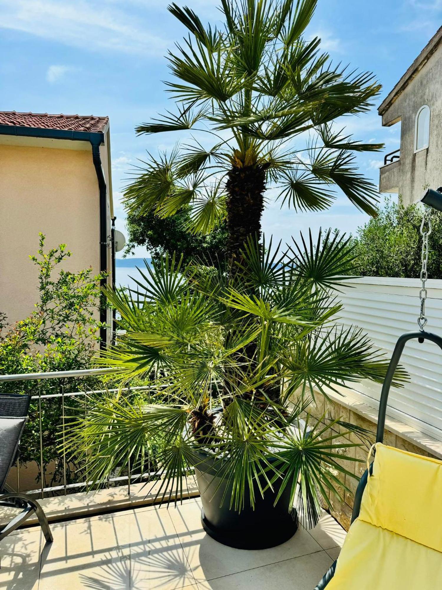 Villa Sirenis Trogir Buitenkant foto